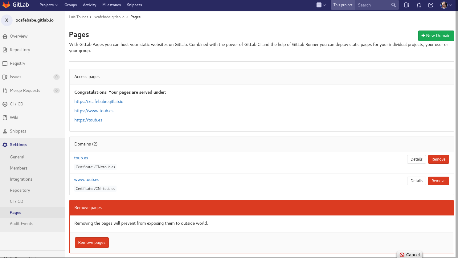 Certificates with and without www in GitLab