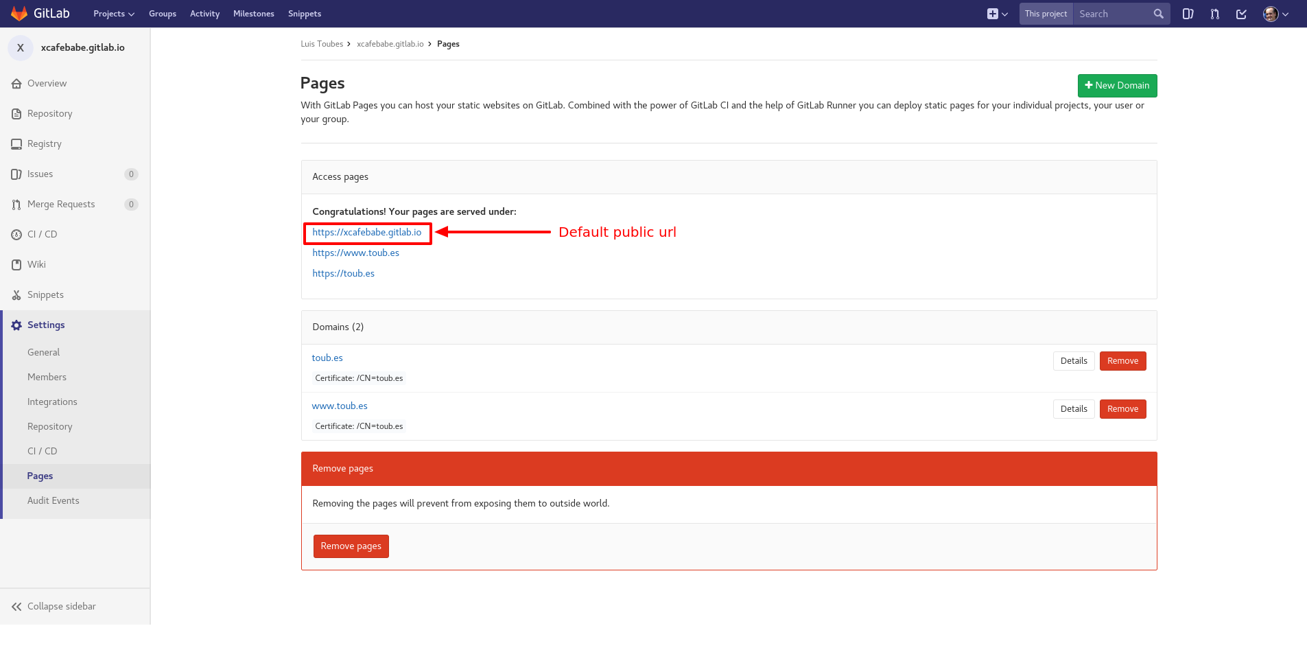 Default public GitLab ulr