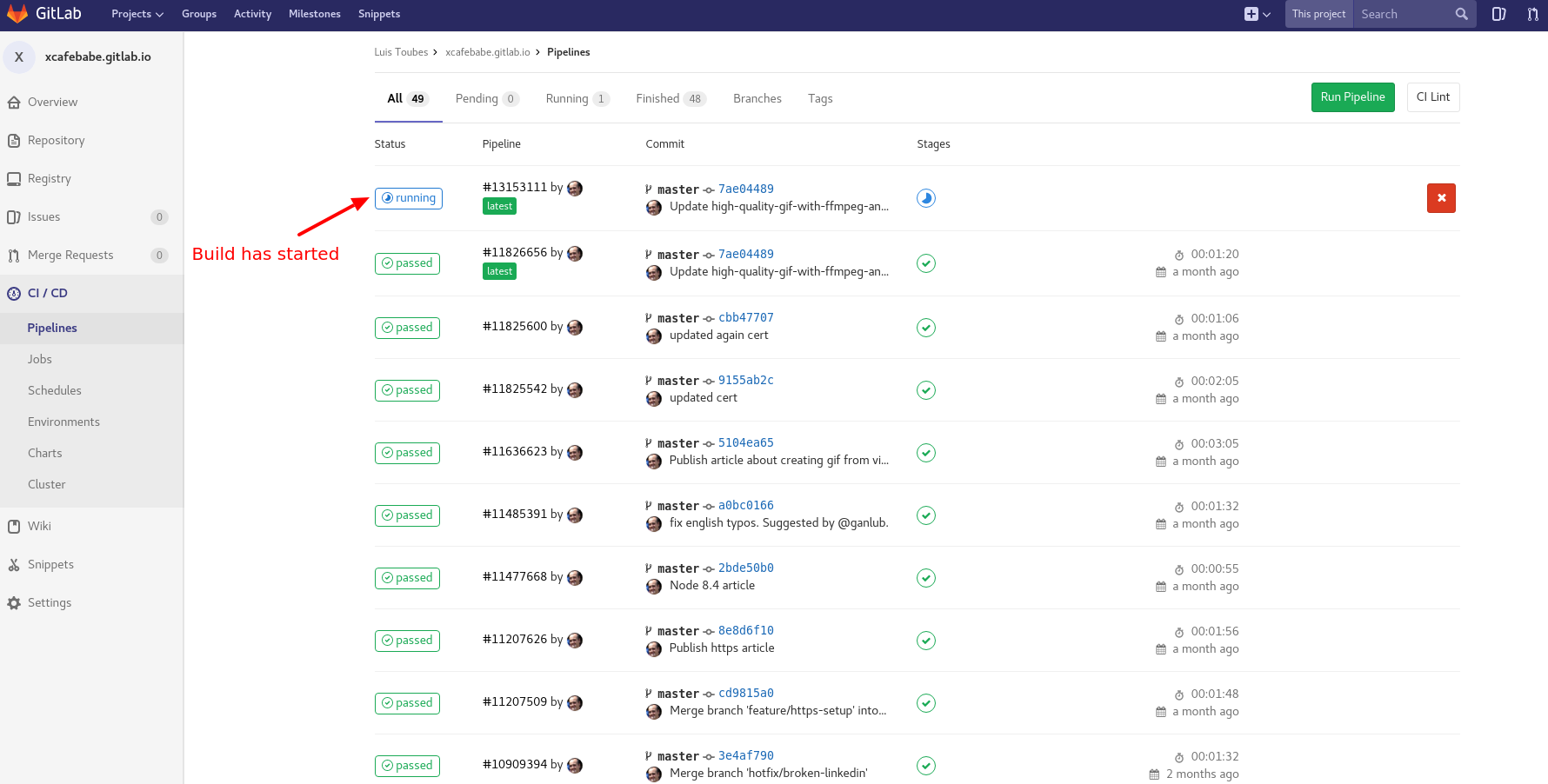 A new pipeline job has started